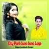 About City Park Suno Suno Lage Song